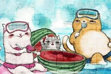 Gatos