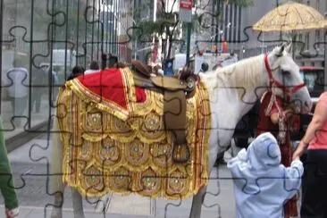 horse