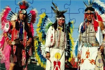 Indians in the USA
