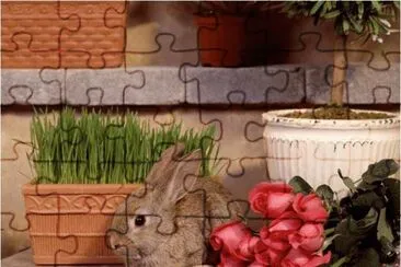 conillet jigsaw puzzle