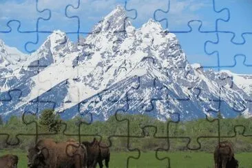 Grand Tetons