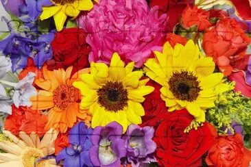 Flors jigsaw puzzle