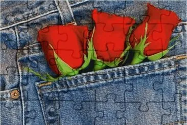 Jeans and Roses jigsaw puzzle