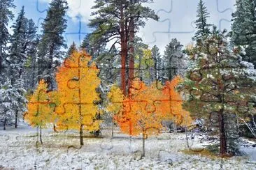 Aspens