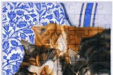 Gatos