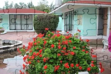 flores