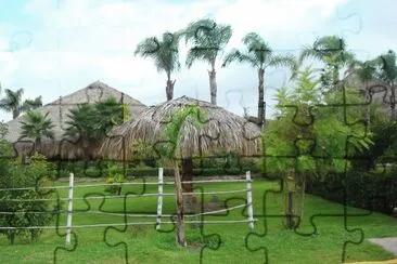 palapas jigsaw puzzle