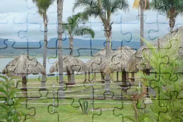 palapas