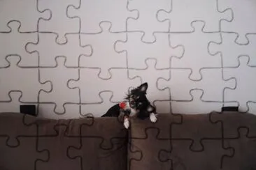 Nick escondendo no sofá