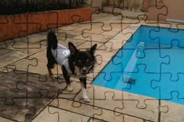 Nick na piscina jigsaw puzzle