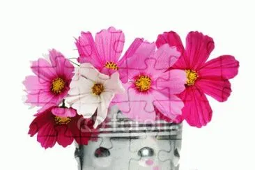 foto jigsaw puzzle