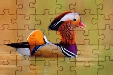 HERMOSO PATITO ORIENTAL jigsaw puzzle