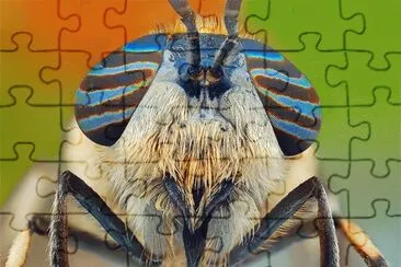PSICODELIA jigsaw puzzle