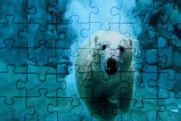 nov6 jigsaw puzzle