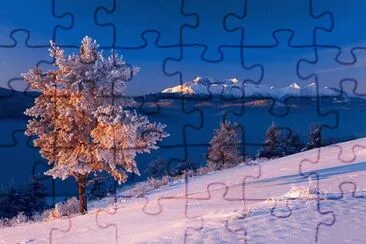 nevada jigsaw puzzle