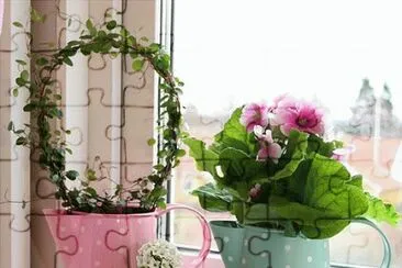 flores en la ventana