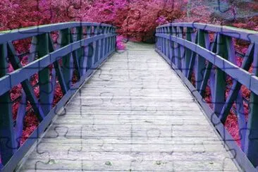 puente 1