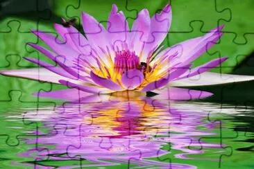 FLOR DE LOTO jigsaw puzzle