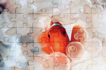 found Nemo jigsaw puzzle