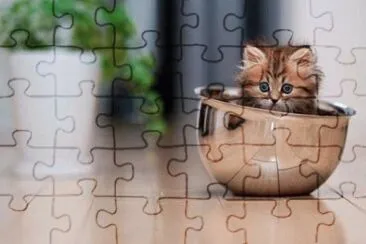 rock the bowl jigsaw puzzle