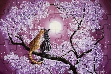 Gatos