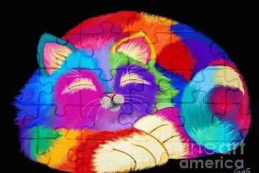 Gatos