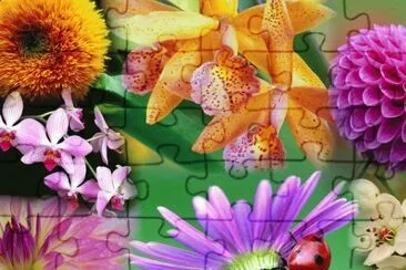 54asyx jigsaw puzzle
