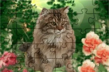 פאזל של Cat