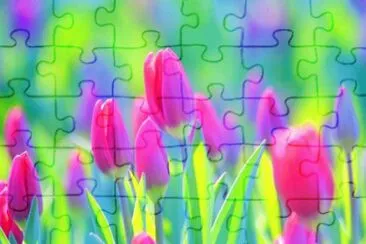 BELLEZA DE TONOS jigsaw puzzle