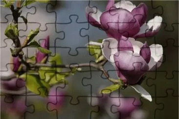 Springtime jigsaw puzzle