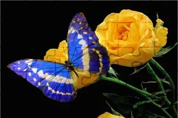 Butterfly jigsaw puzzle