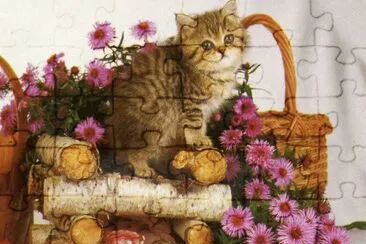 gatet