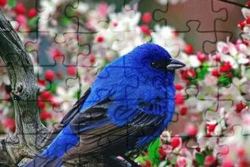 AZULEJO ENTRE FLORES