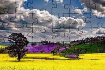 PAISAJE FLORIDO jigsaw puzzle