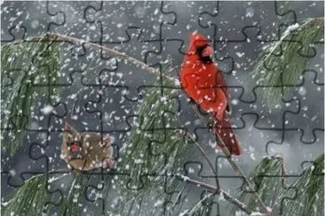 Snowfall jigsaw puzzle