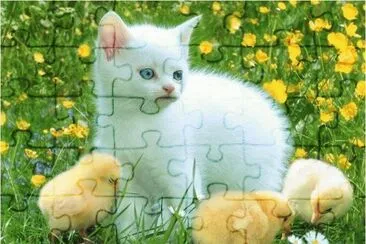 Young Cat with Chicken jigsaw puzzle