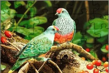 פאזל של Birds