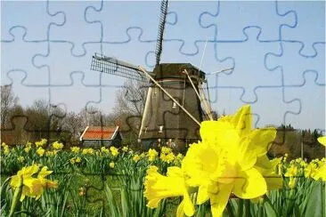 Dutch Windmill