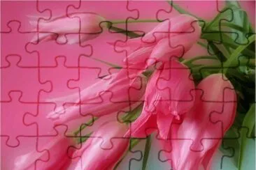 Tulips jigsaw puzzle