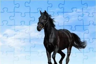 Black Horse