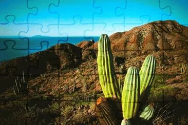 x jigsaw puzzle
