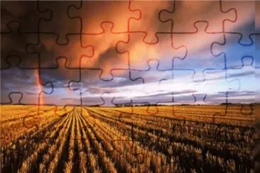 nov12 jigsaw puzzle