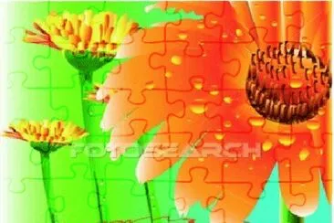 image jigsaw puzzle