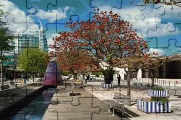 FaraÃ³n jigsaw puzzle