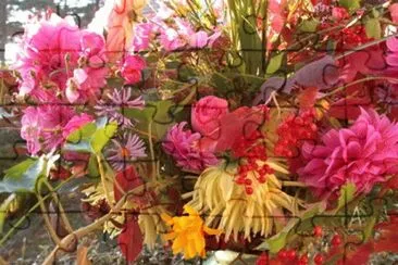 Flors jigsaw puzzle