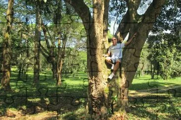 JARDIM BOTANICO - SP