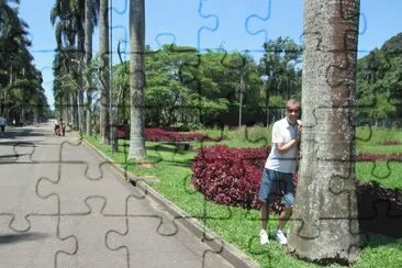 JARDIM BOTANICO 1 jigsaw puzzle