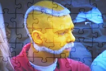 curios jigsaw puzzle