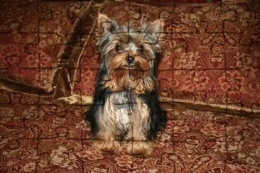  jigsaw puzzle