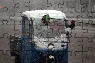 curios jigsaw puzzle